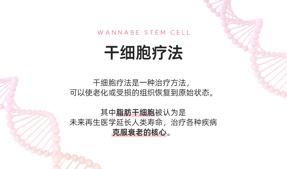 干细胞疗法 - 干细胞疗法是一种治疗方法，可以使老化或受损的组织恢复到原始状态。