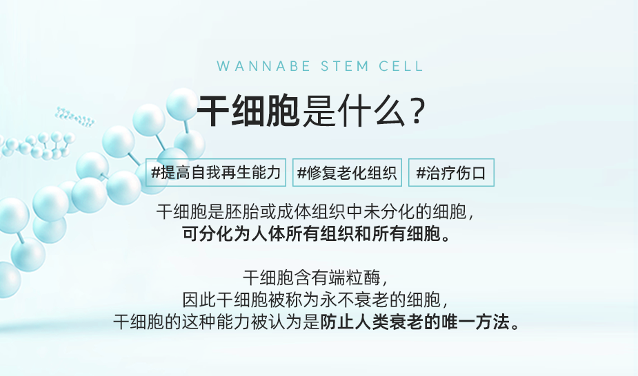 干细胞是什么？ - 干细胞含有端粒酶，因此干细胞被称为永不衰老的细胞，干细胞的这种能力被认为是防止人类衰老的唯一方法。