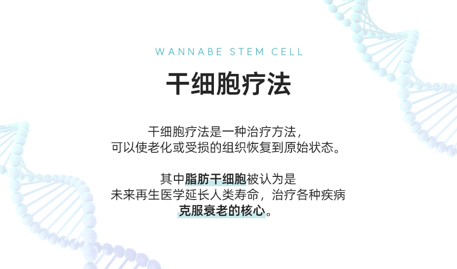 干细胞疗法 - 其中脂肪干细胞被认为是未来再生医学延长人类寿命，治疗各种疾病克服衰老的核心